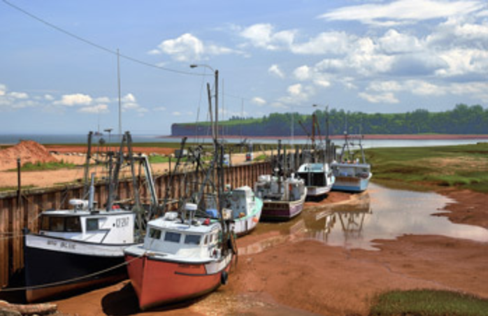 Screenshot 2018-07-08 15.58.56